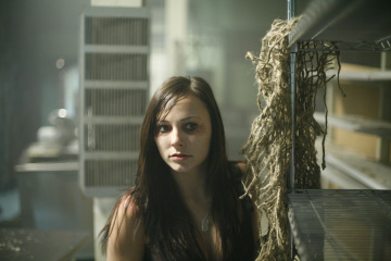Briana Evigan, Fear Itself, New Year's Day