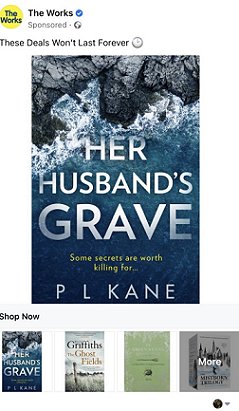 Screenshot of The Words ad, Her Husband's Grave by Paul Kane