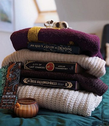 photograph showing a pile of jumpers on a green cloth, with a ceramic dog lying on top. There are copies of Adrian Tchaikovsky's City of Last Chances, Ava Reads A Study in Drowning and In These Hallowed Halls, edited by Marie O'Regan and Paul Kane. 
