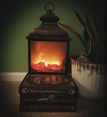 photograph of a copy of In These Hallowed Halls, edited by Marie O'Regan and Paul Kane, lying on top of two books in front of a burning fire. To the right is a palm in a cream planter