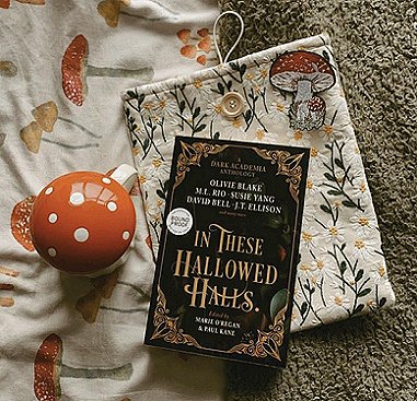 Photograph of a copy of In These Hallowed Halls, edited by Marie O'Regan and Paul Kane, lying on a cloth bag decorated with flowers and an appliqued mushroom and button, on a fleece cloth and a cloth decorated with mushrooms, beside a mushroom mug