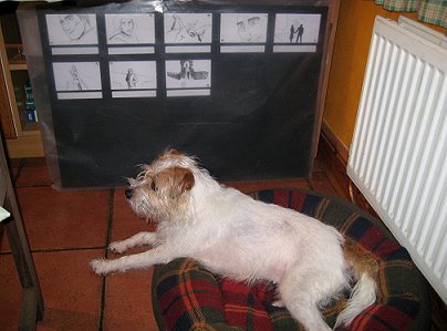 Mitzi and storyboards