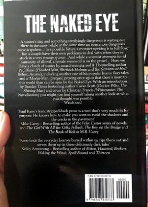 Back cover of The Naked Eye by Paul Kane