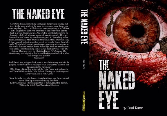 Wraparound cover for The Naked Eye by Paul Kane