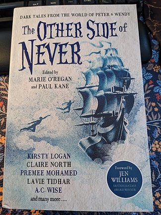 Copy of a book, The Other Side of Never, edited by Marie O'Regan and Paul Kane, laying on a blue cloth decorated with tiny leaves and flowers