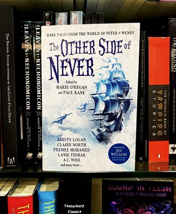 Bookshelf, with copy of The Other Side of Never, edited by Marie O'Regan and Paul Kane, face out on the shelf