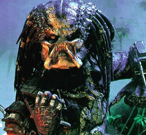 Predator
