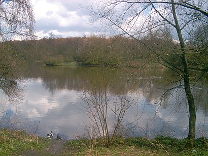 Rufford Lake