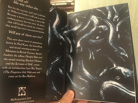 Inside front cover and endpapers for limited edition of The Storm by Paul Kane