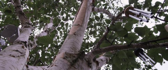 Wind Chimes