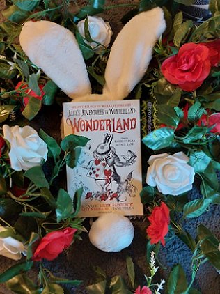 Display image: Wonderland, edited by Marie O'Regan and Paul Kane