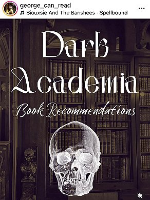 screenshot from @george_can_read. Image shows a skull superimposed over bookshelves. Text reads: Dark Academia Book Recommendations