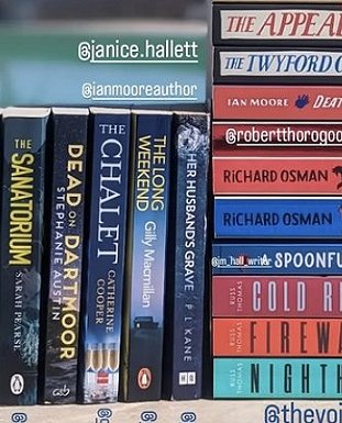 Stack of books, including Her Husband's Grave by P L Kane