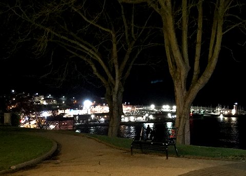 Night-time view of Scarborough harbour