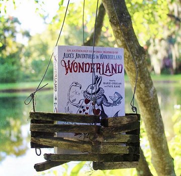 Wonderland, edited by Marie O'Regan and Paul Kane